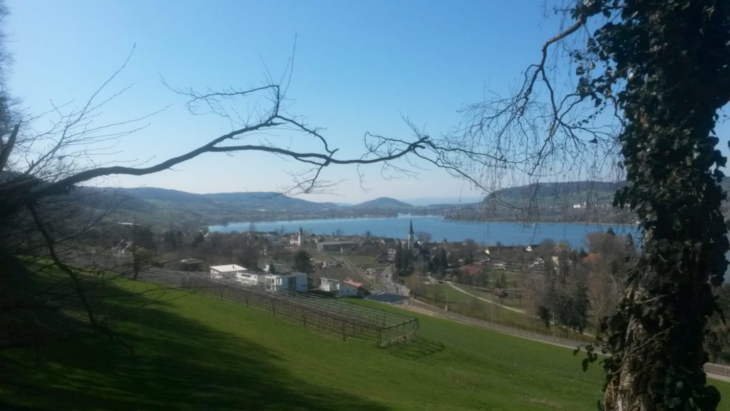 Blick Richtung Eschenz und Rhein