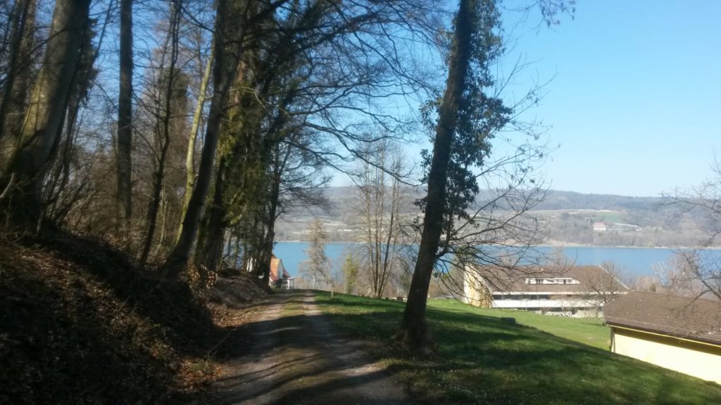 Abstieg nach Stein am Rhein SH