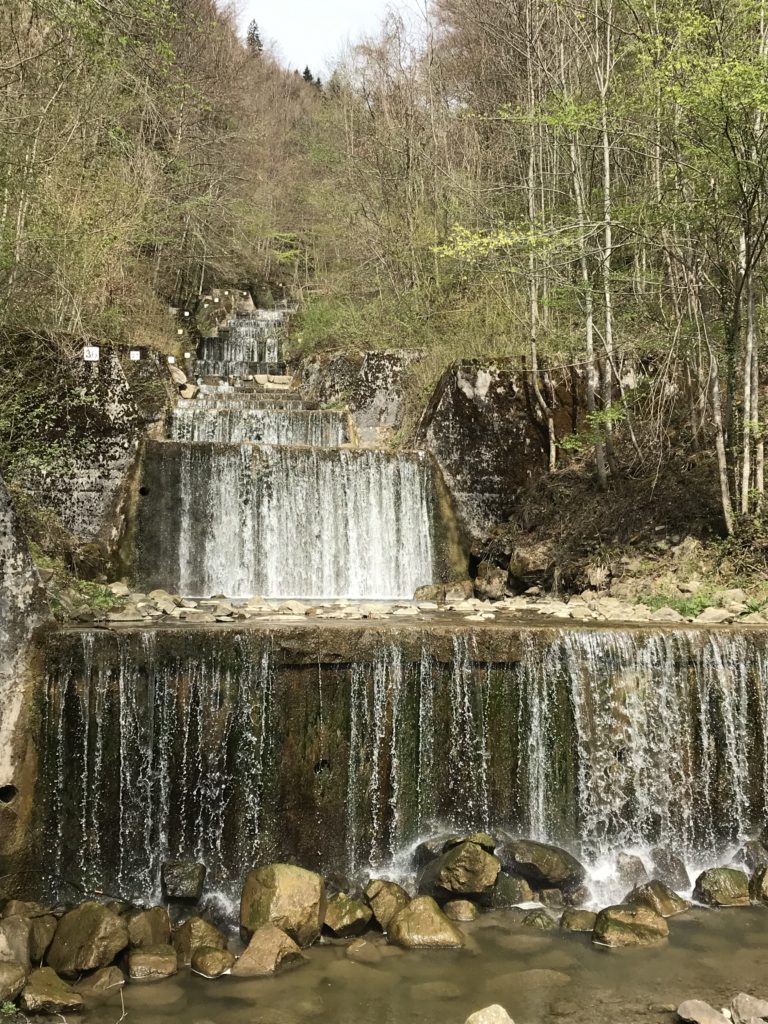 kleiner Wasserfall Schwandbach