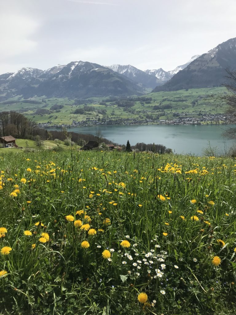 Blick auf den Sarnersee und Sachseln