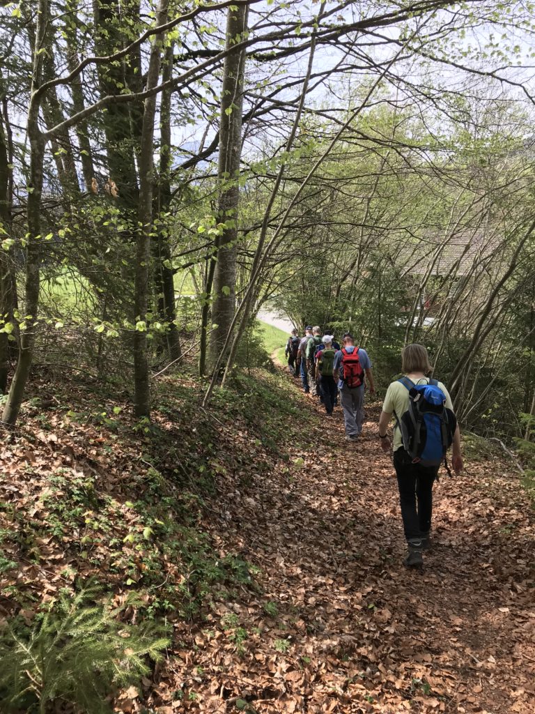 zügigen Schrittes voran auf dem Waldweg