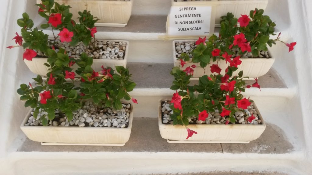 weisse Stadt Ostini, hübsche Blumenkistchen