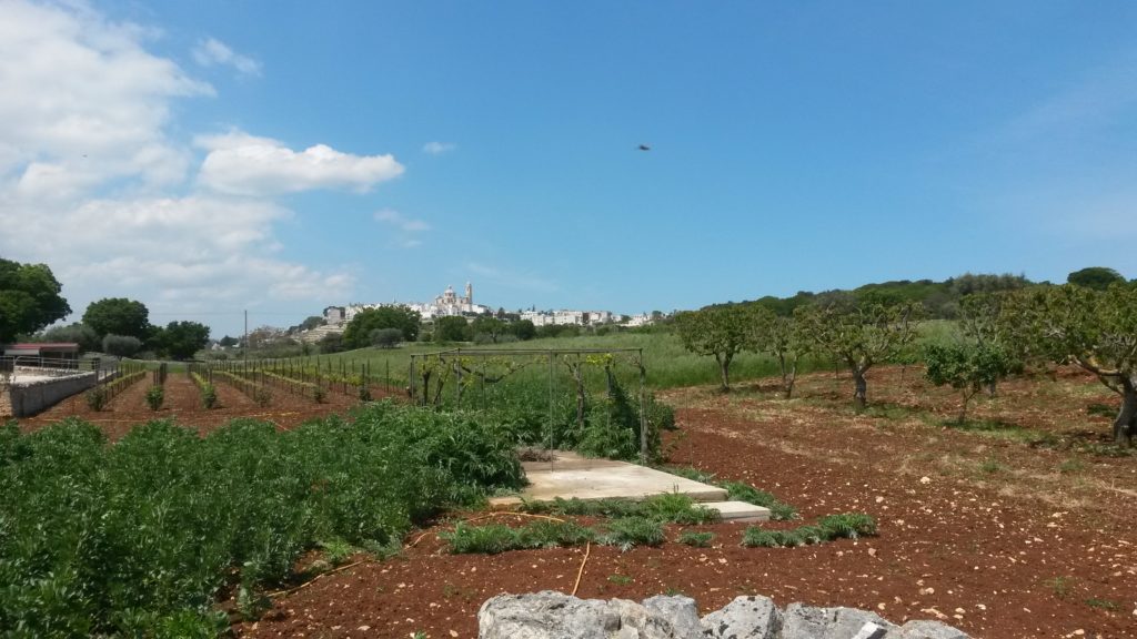 Masseria d'Aprile, Gartenanlage