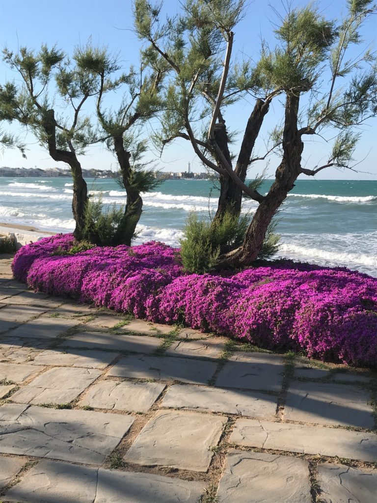Hotel del Levante, Garten mit Meersicht