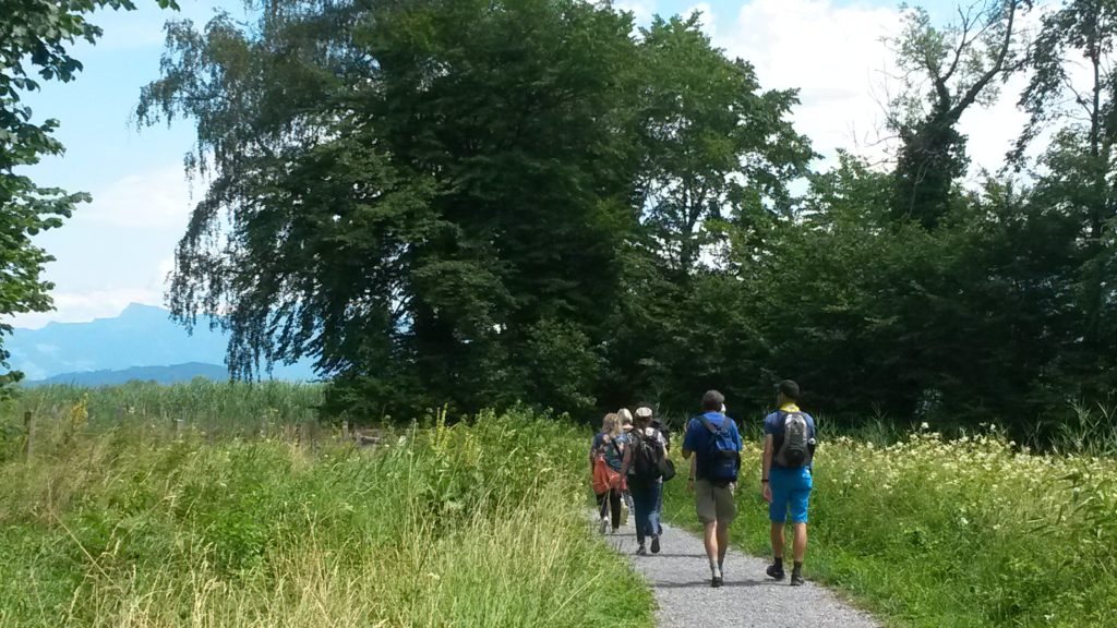 auf dem Inselrundweg der Ufenau