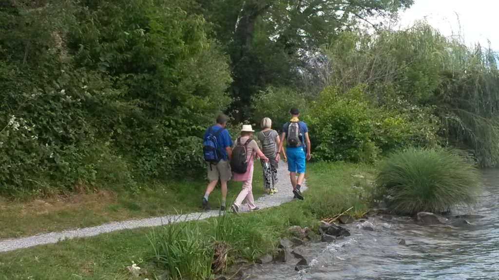 der kühlen Ufenau-Waldpassage entgegen