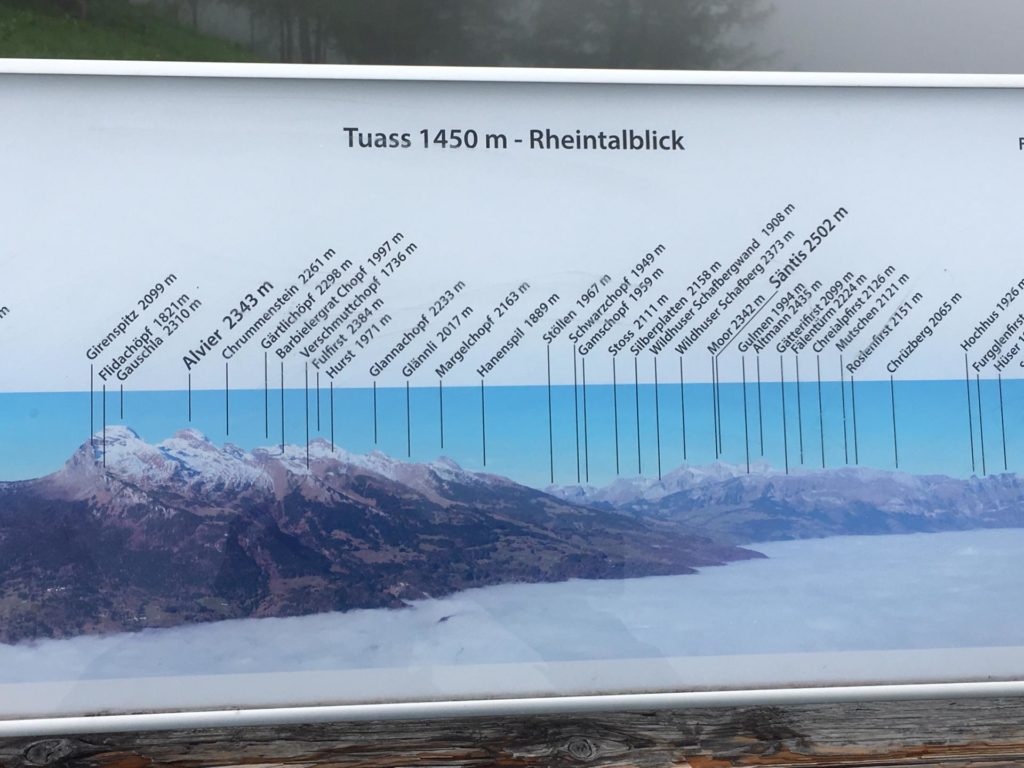 Panoramaübersicht Tuass - Rheintalblick