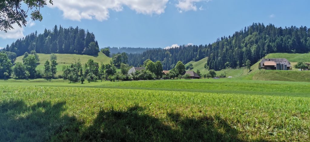 typische Emmentaler Landschaft