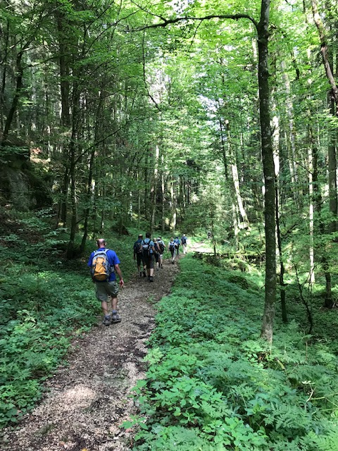 durch den schattigen Wald Richtung Champoz