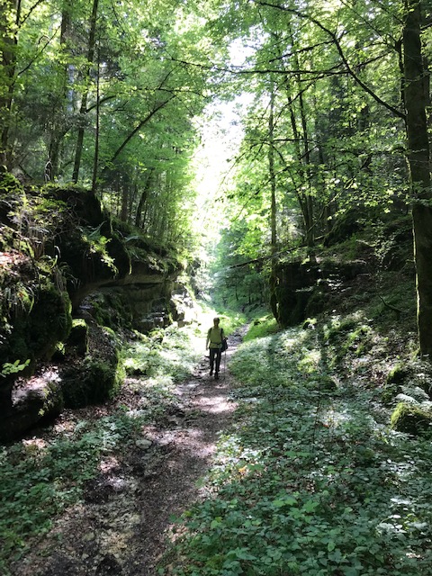 in der kühlen Schlucht Combe Fabet Richtung Moutier