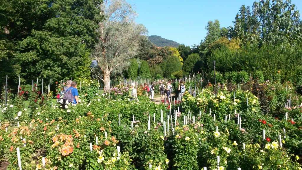 Pallanza - Botanische Gärten der Villa Taranto