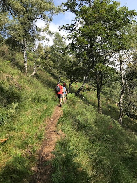 oberhalb Cannobio - unterwegs auf der Bergwanderung zum MONTE GIOVE (1298m)