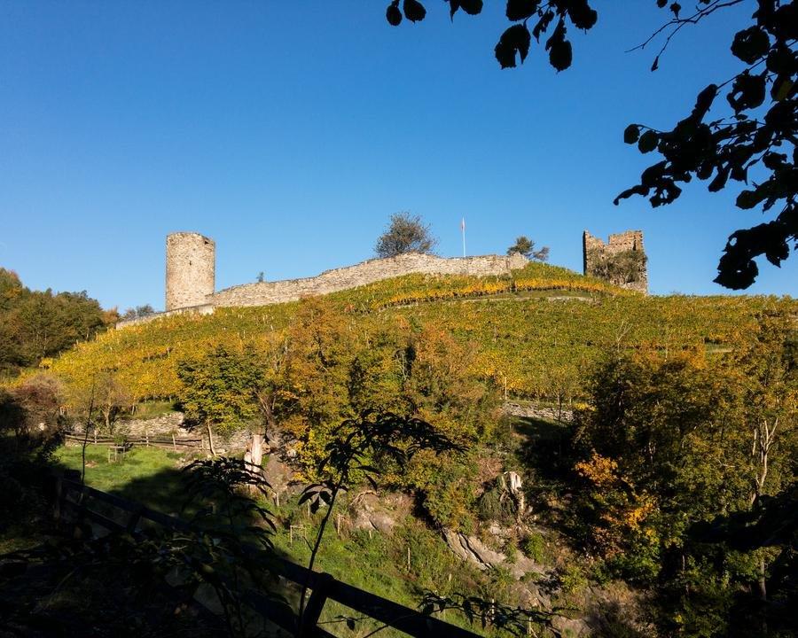 WALSA-Weg: Burgruine Freudenberg