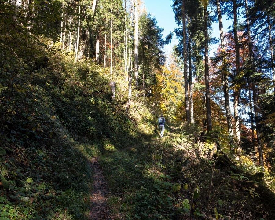 WALSA-Weg: Flott unterwegs