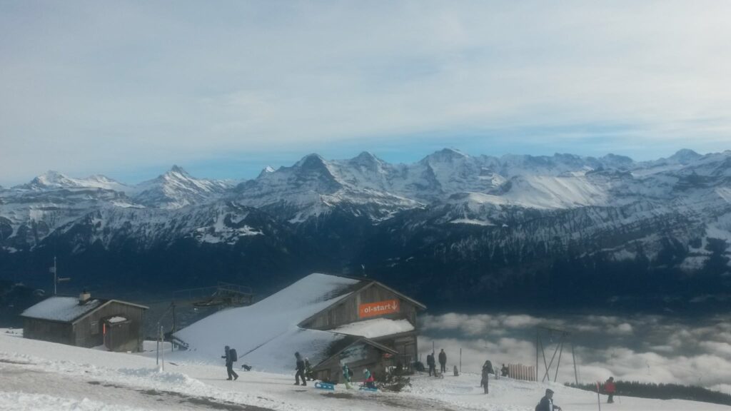 Niederhorn oberhalb des OL-Starthauses