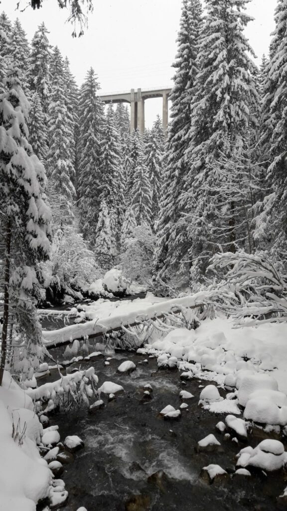 auf dem Weg in die frisch verschneite Bergwelt