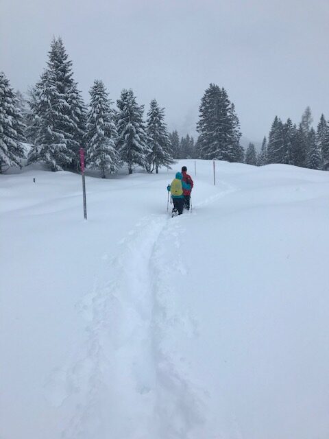 durch den Tiefschnee auf zur Furgga-Alp