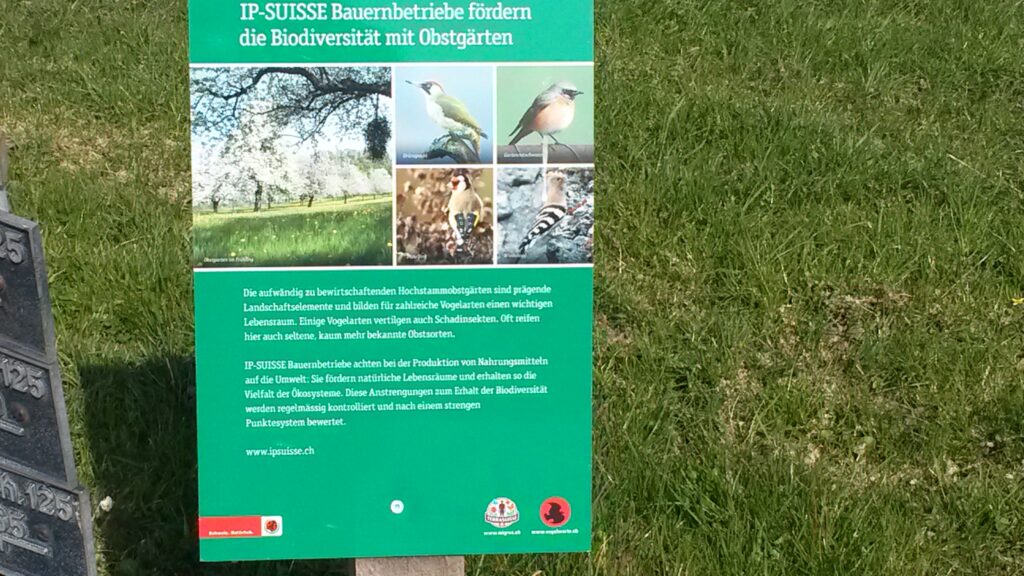IP-SUISSE Bauernbetriebe fördern die Biodiversität mit Obstgärten. Hier bei Apfelbäumen im Mädertal bei Gossau - 28.03.2020