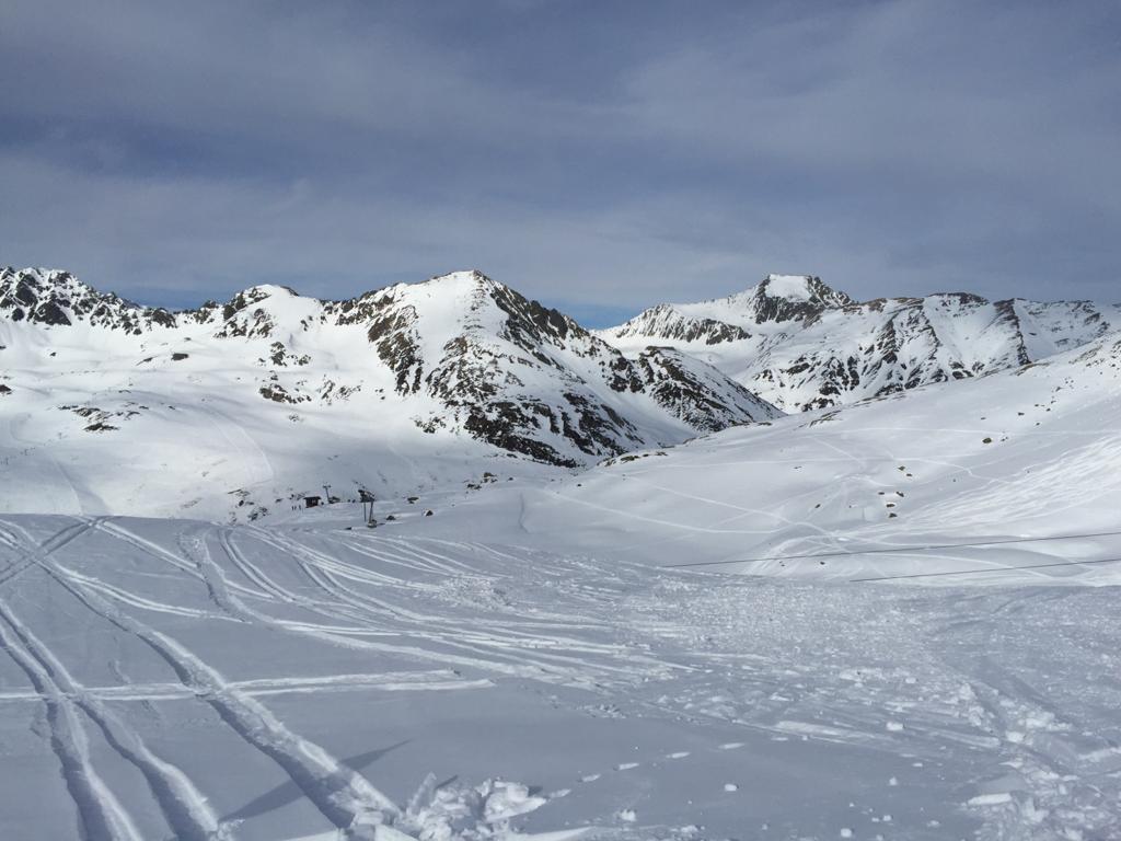 Spuren im frischen Neuschnee