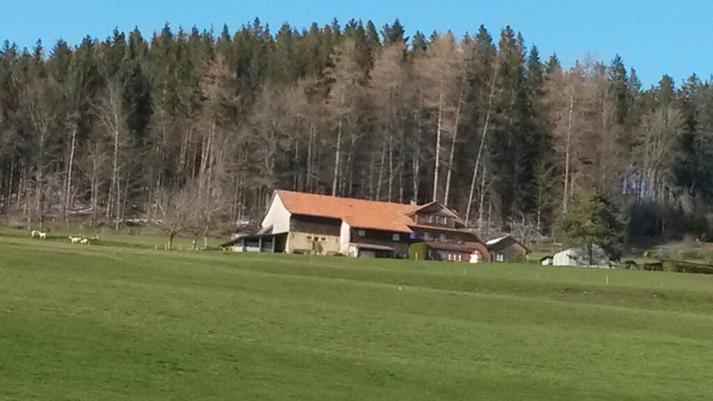 auf dem Aetschberg oberhalb Abtwil - 31.03.2020