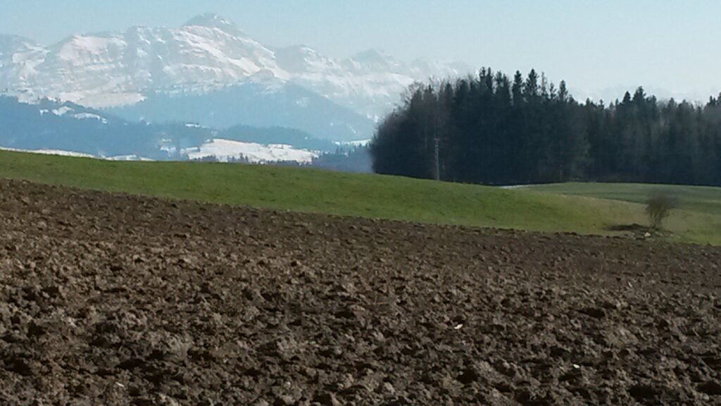 Der Acker ist bestellt. - 01.04.2020