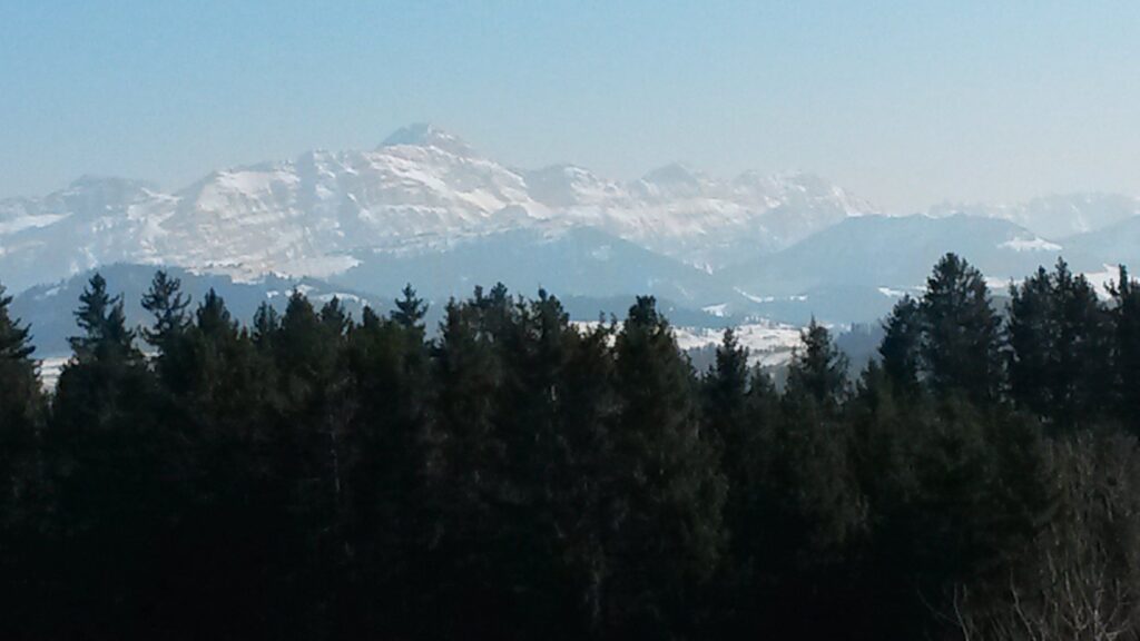 grüne Tannen und noch verschneite Bergwelt - 01.04.2020