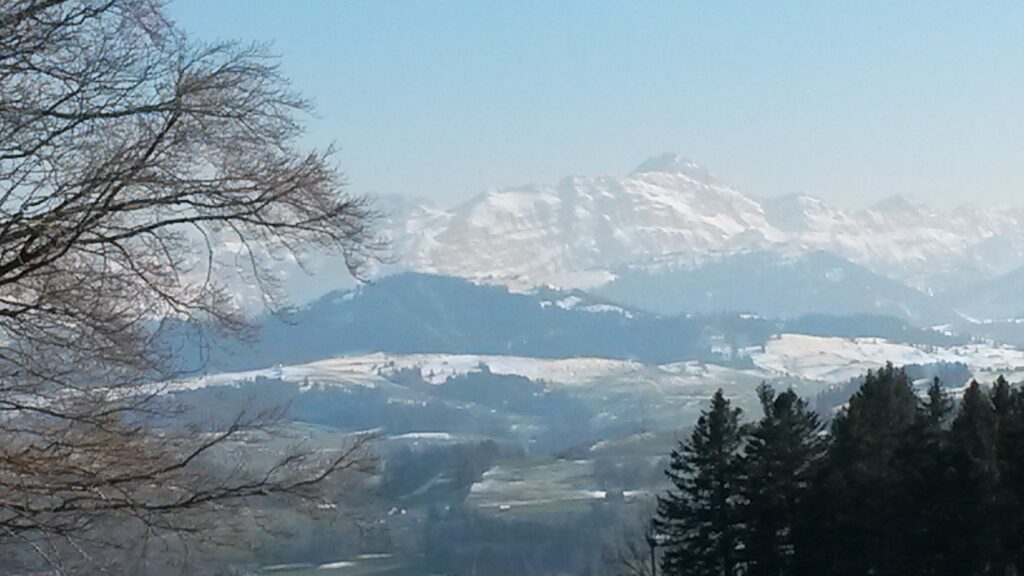 im bläulich eingefärbten Abendlicht - 01.04.2020