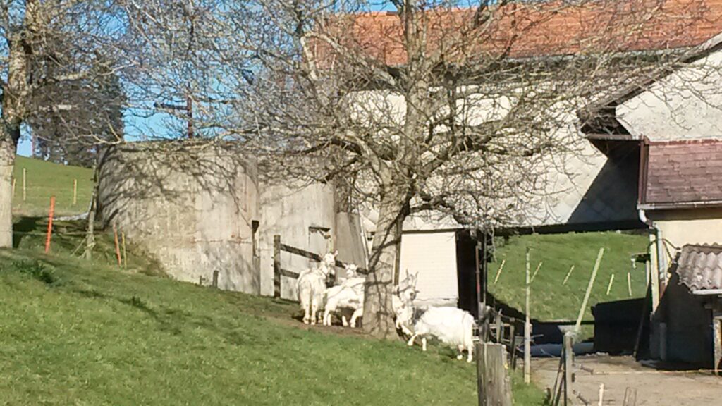 Bauernhof auf dem Aetschberg im noch strahlenden Sonnenschein - 01.04.2020