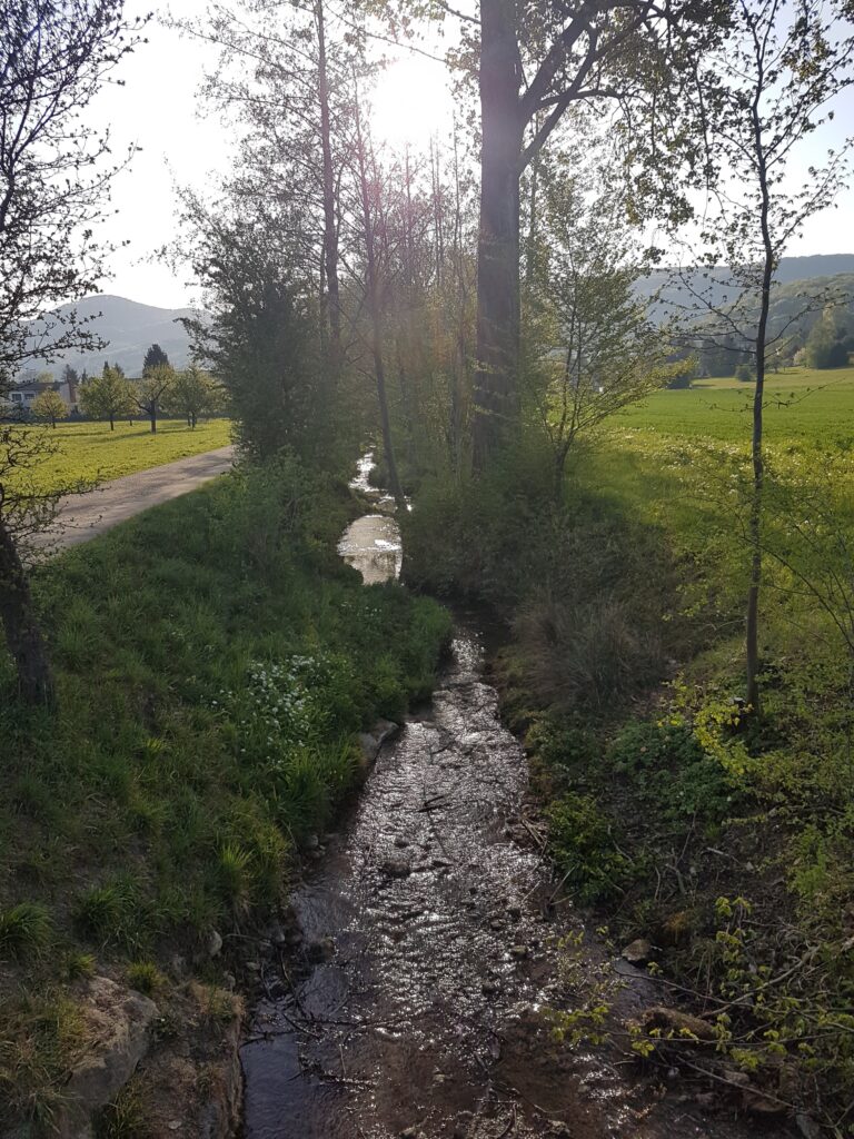 Klusbächli in Aesch BL - 19.04.2020