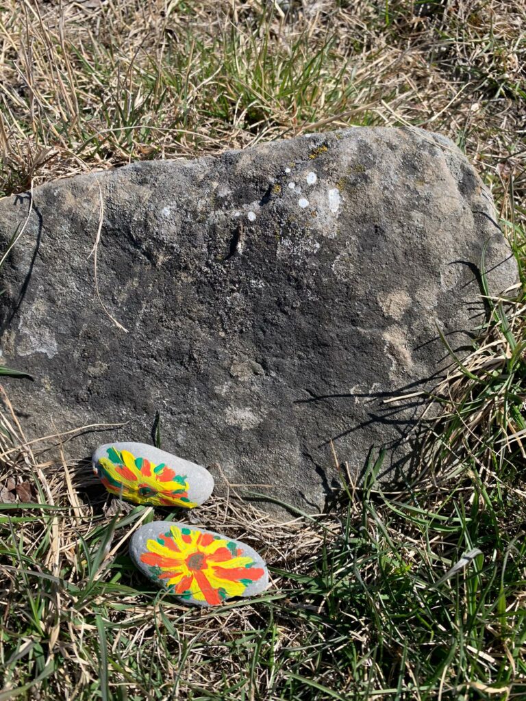 Trimmis - Blumenmotiv auf Steinen