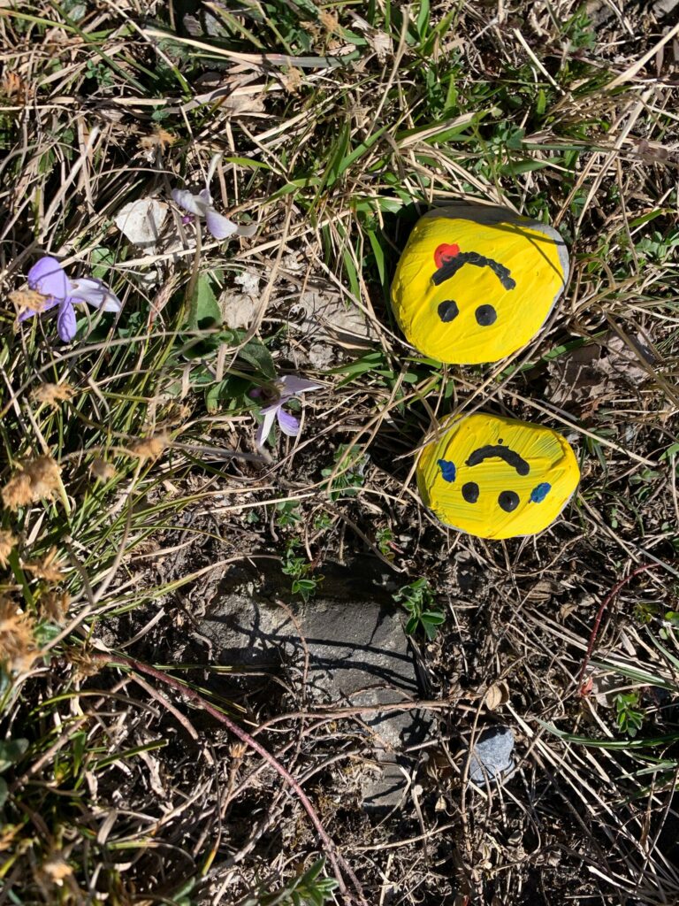 Trimmis - Steinsmileys