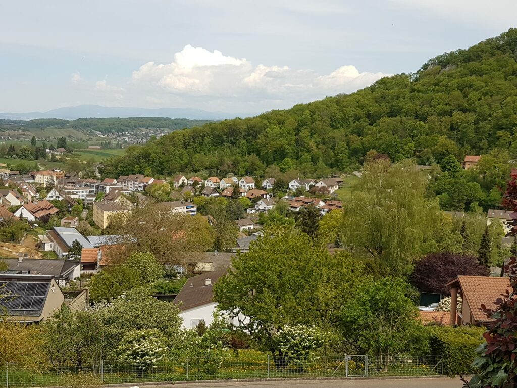 Blick Richtung Flüh - 19.04.2020