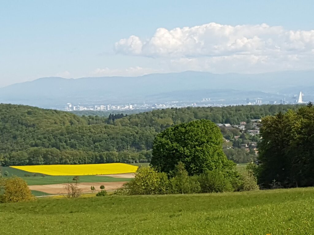 Blick Richtung Basel mit dem Roche-Turm und dem Schwarzwald im Hintergrund - 19.04.2020