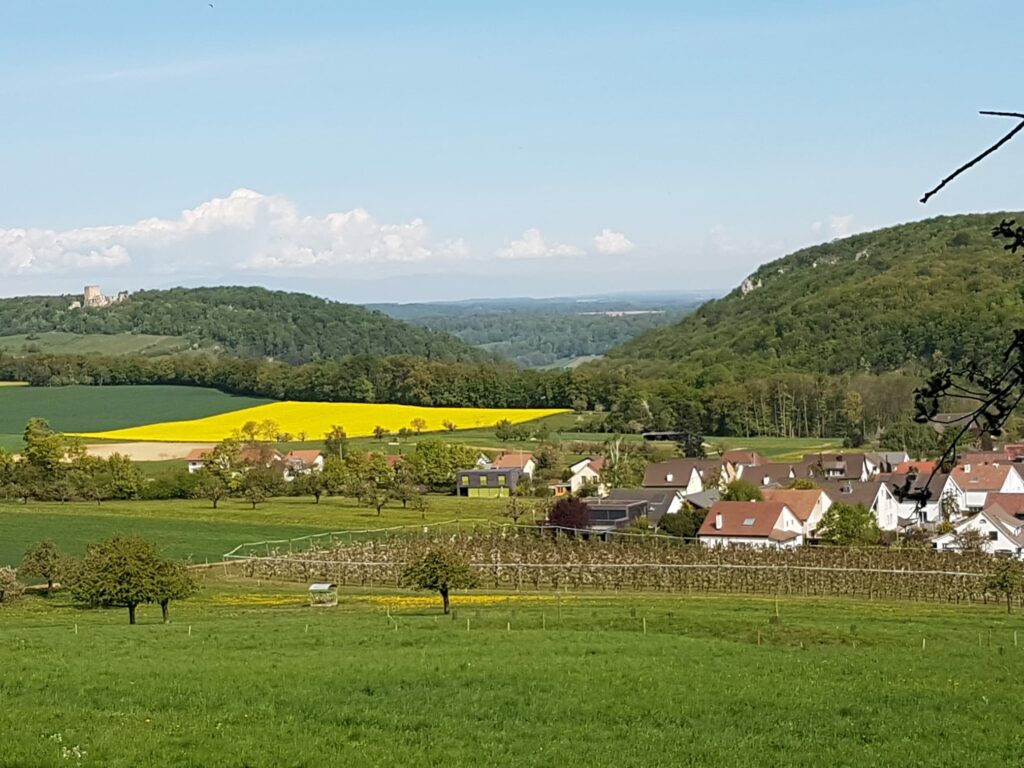 Gemeinde Hofstetten-Flüh - 19.04.2020