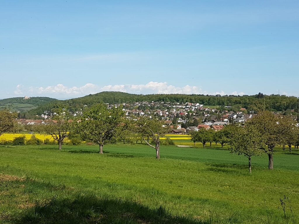 Blick Richtung Hofstetten-Flüh - 19.04.2020