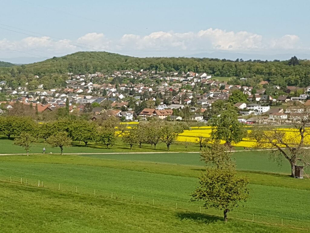 Gemeinde Hofstetten-Flüh - 19.04.2020