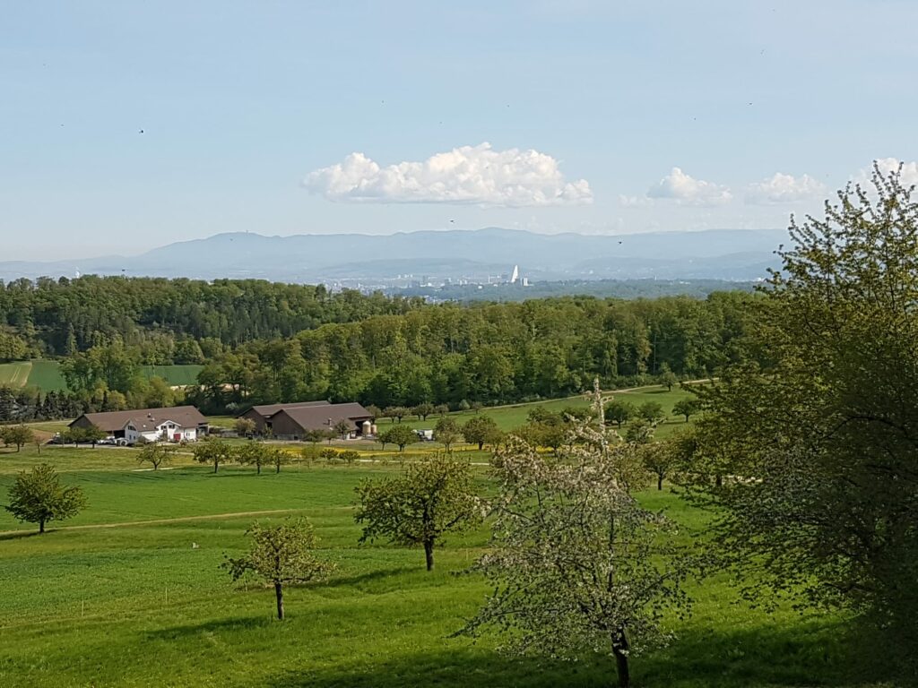 Region Hofstetten-Flüh mit Blick Richtung Roche-Turm und Basel - 19.04.2020