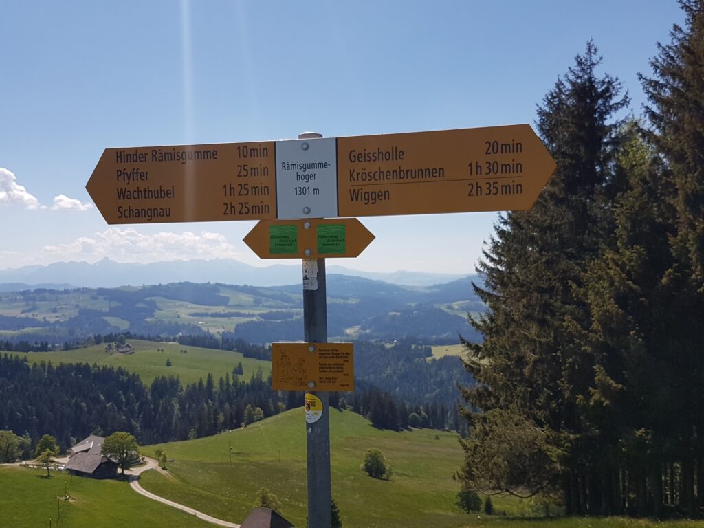 Rämisgummenhoger auf 1301m, Erika - 21.05.2020