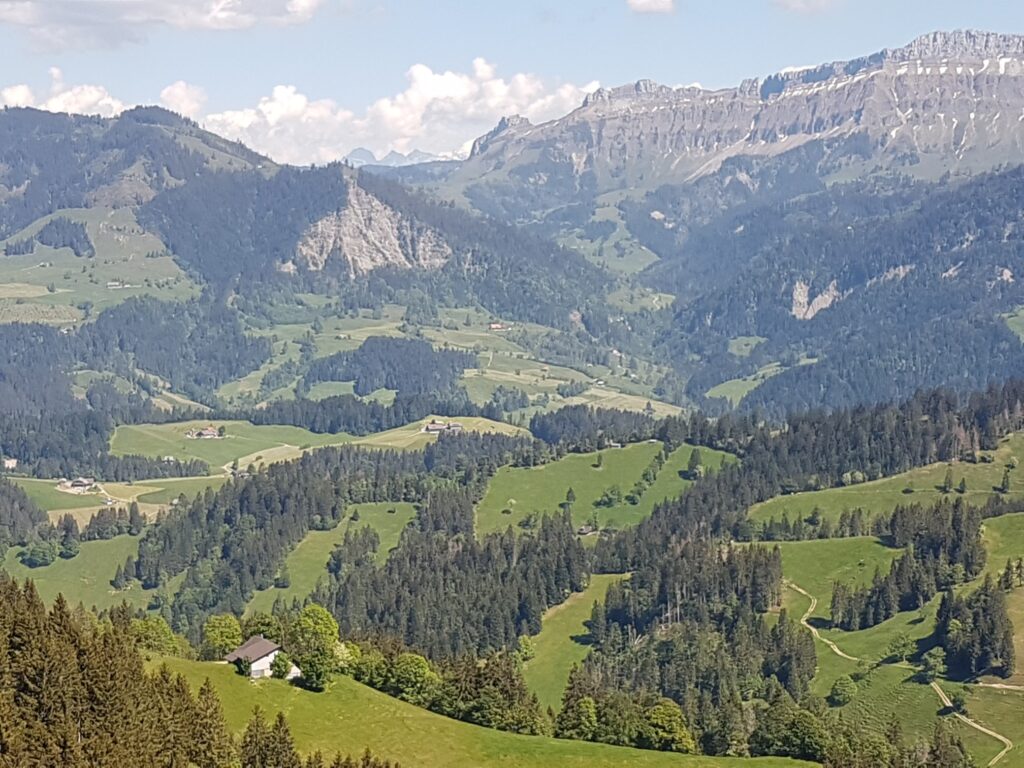 Kontraste um den Rämisgummenhoger, Erika - 21.05.2020
