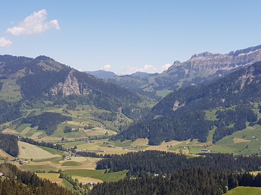 Feld, Wald und Berge um den Rämisgummenhoger, Erika - 21.05.2020