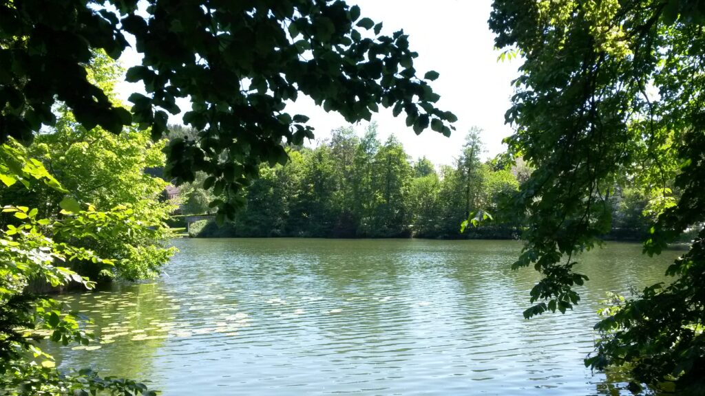 romantischer Hauptwiler Weiher SG, Regina - 21.05.2020
