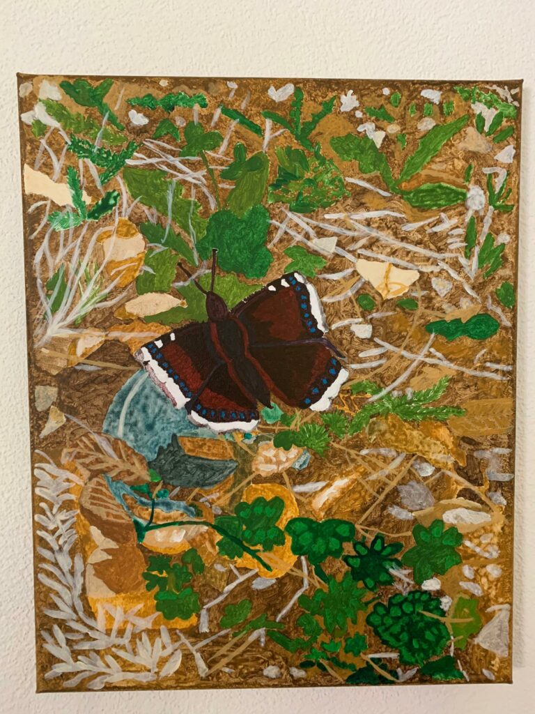 Trauermantelfalter auf dem Luzisteig, Ostern 2019 - Acryl, Judith 2020