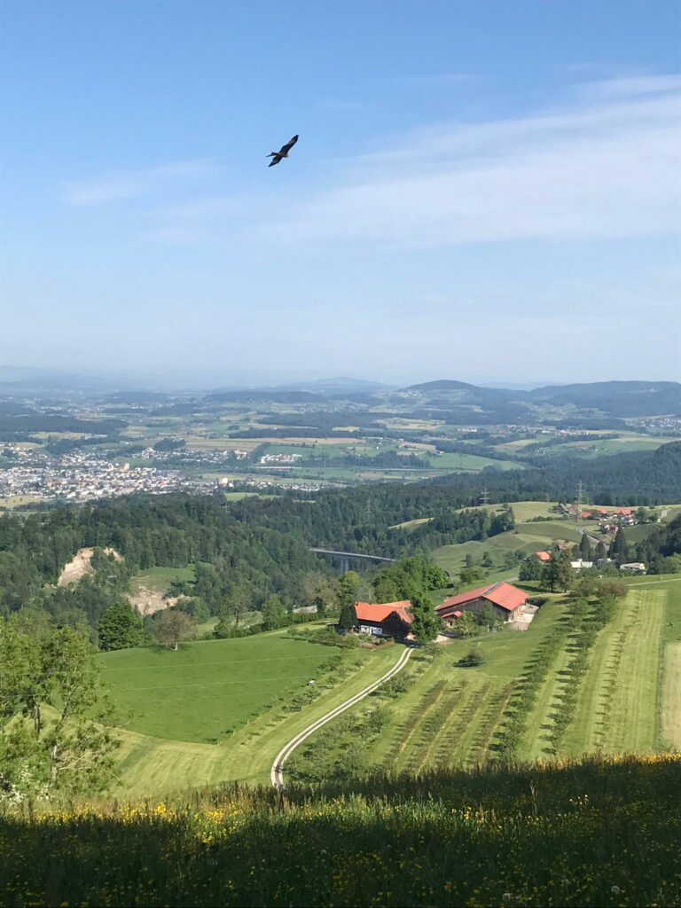 mit dem Bike ab Menzingen ZG zur Anhöhe Gubel auf 983 m - 09.05.2020