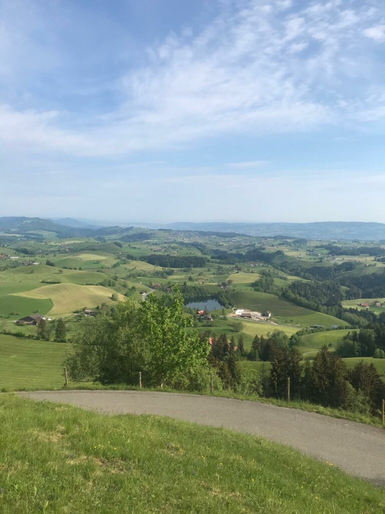 Biketour Oberägeri-Finstersee-Raten ZG: Blick Richtung Hüttner- und Zürichsee - 09.05.2020