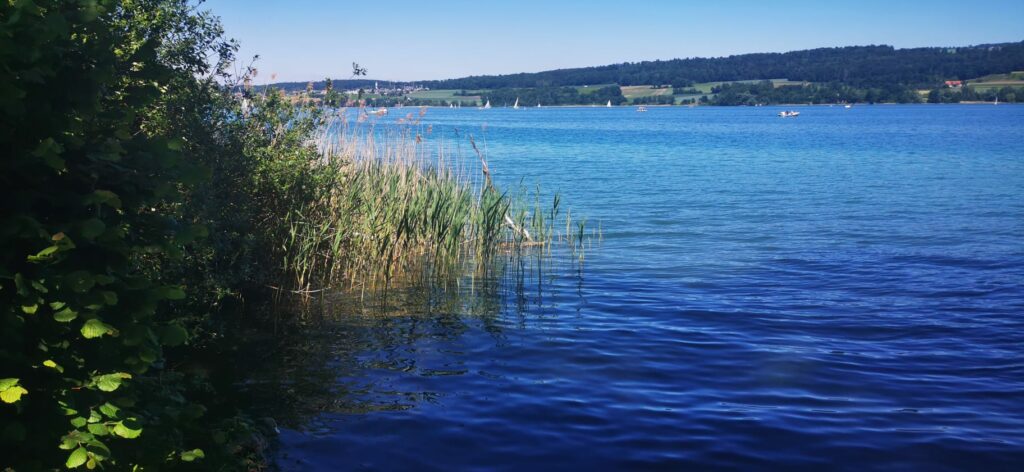 am Hallwilersee in Beinwil, Regula - 21.05.2020