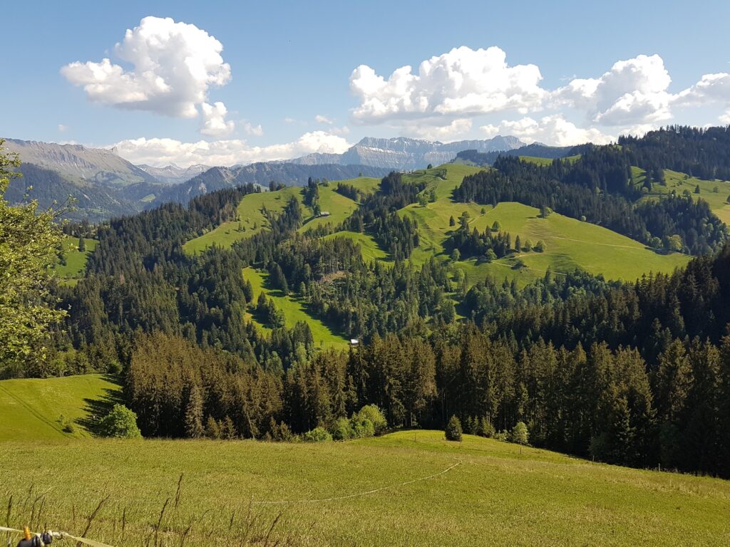 rund um den Rämisgummenhoger im Entlebuch, Erika - 21.05.2020