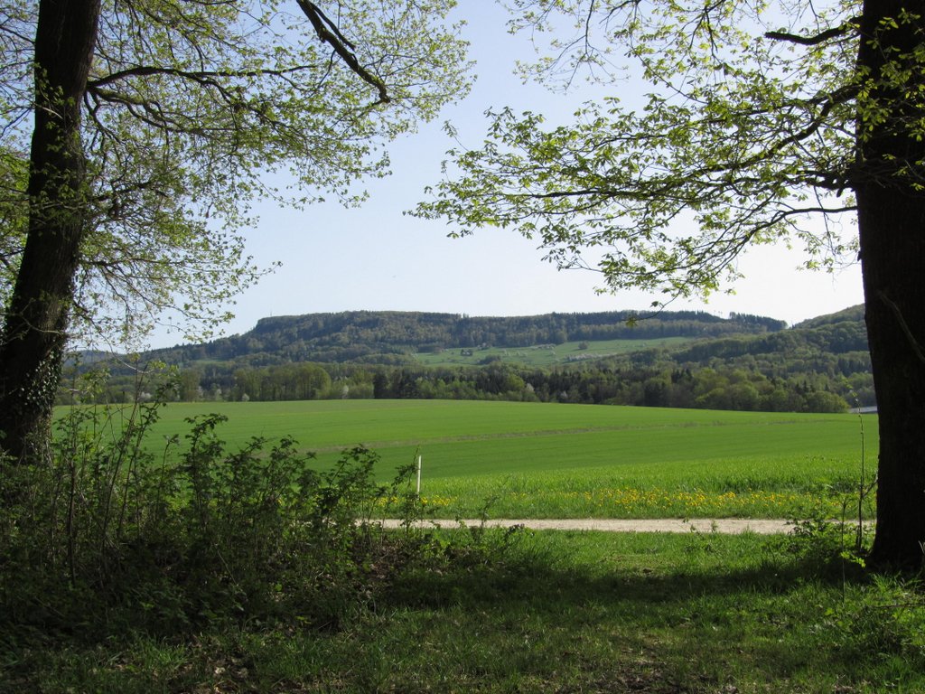 unterwegs von Reinach Richtung Eggfluh im Jura - 11.04.2011
