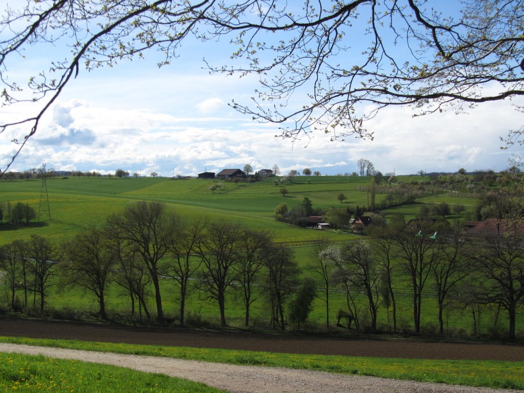 zwischen Reinach und Therwil - 19.04.2012