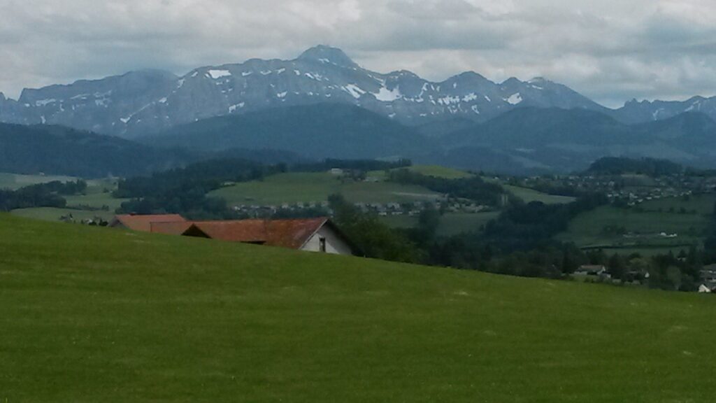 unterwegs Richtung Andwil (oberhalb Gossau SG) durch Wald und vorbei an Wiesen und Feldern, Regina - 31.05.2020