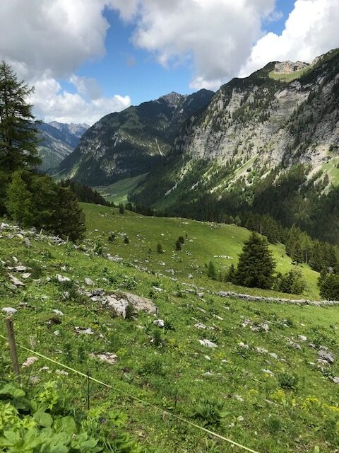 Blick zum Kirchlespitz